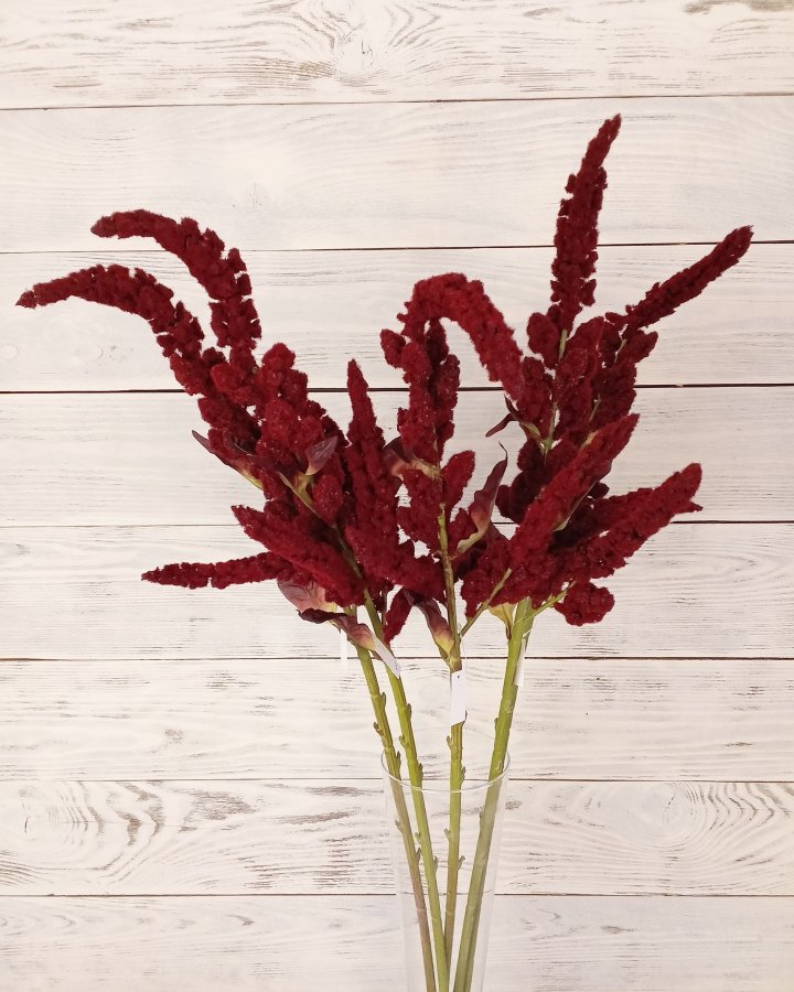 Амарант "Пумила" для декора интерьера