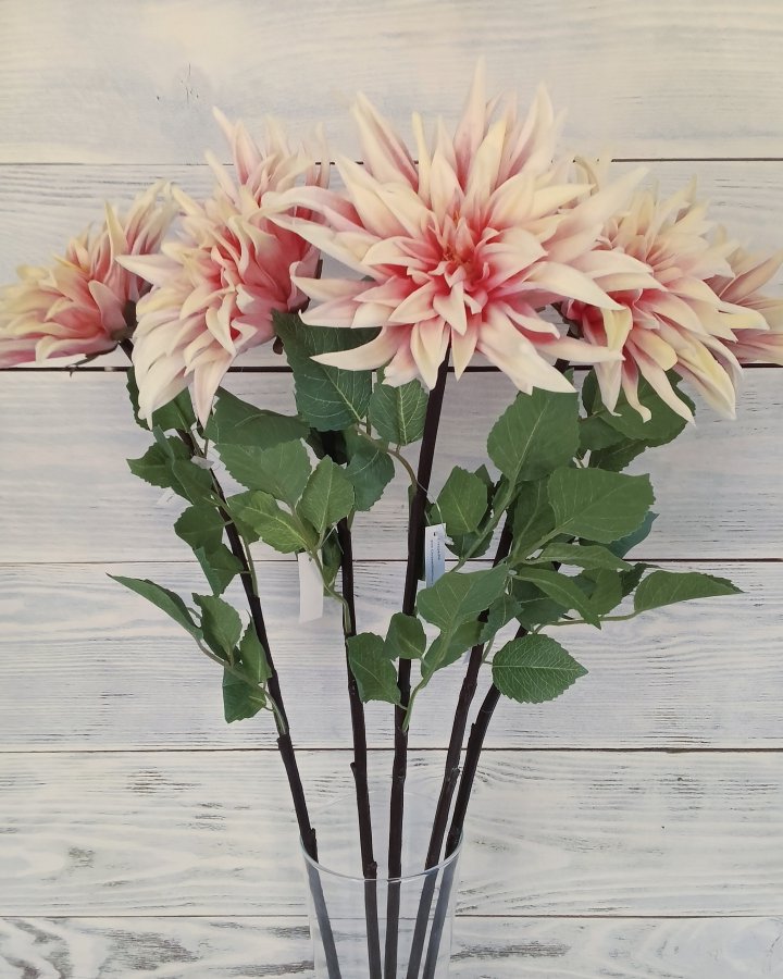 Хризантема "Кастелли" для интерьерного декора