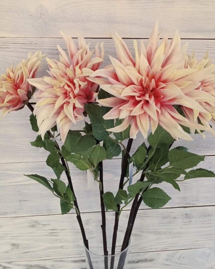 Хризантема "Кастелли" для интерьерного декора