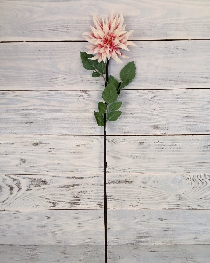 Хризантема "Кастелли" для интерьерного декора