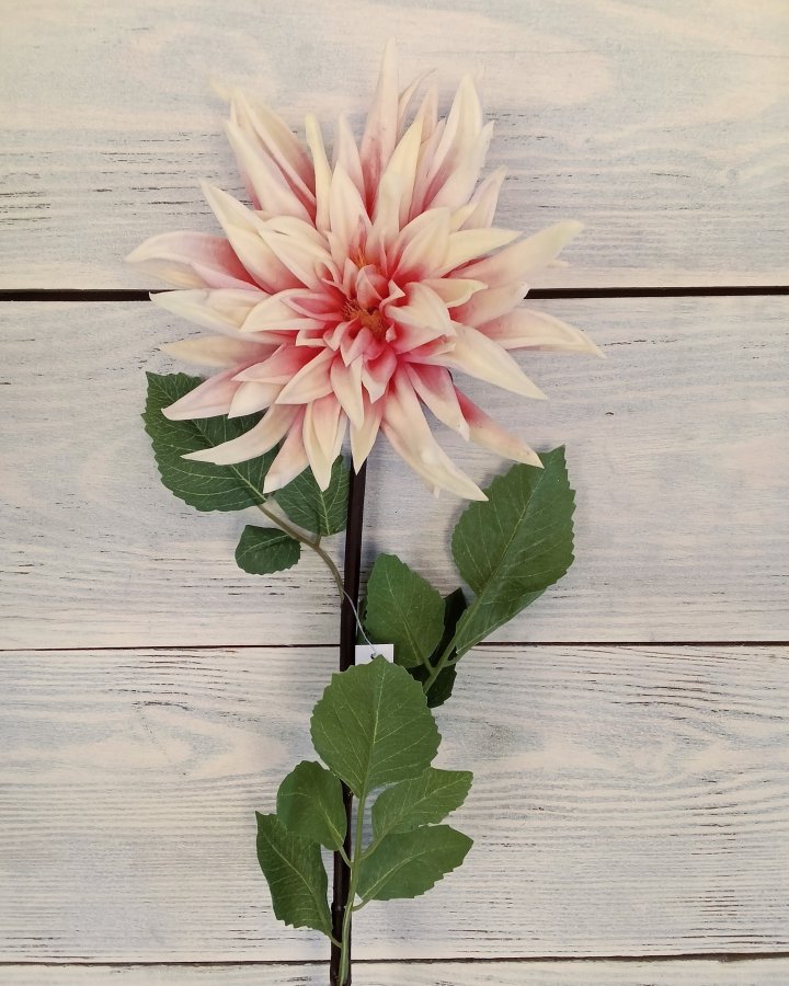 Хризантема "Кастелли" для интерьерного декора