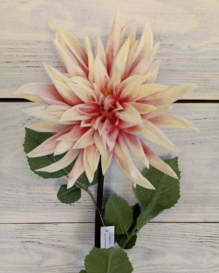 Хризантема "Кастелли" для интерьерного декора