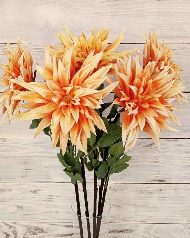 Хризантема "Кастелли" для декора интерьера