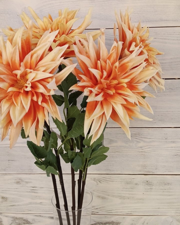 Хризантема "Кастелли" для декора интерьера