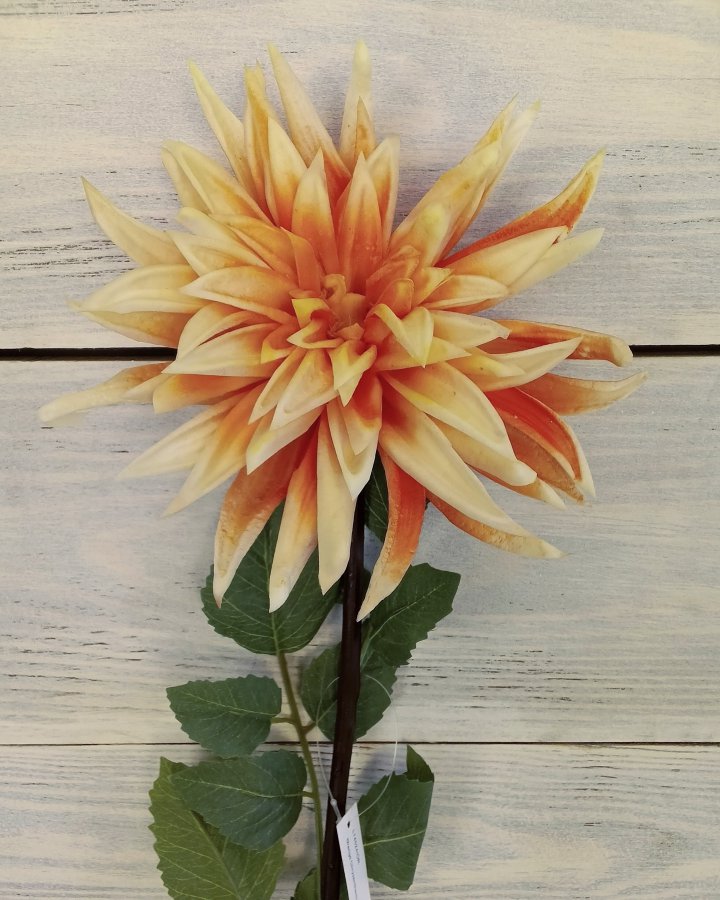 Хризантема "Кастелли" для декора интерьера