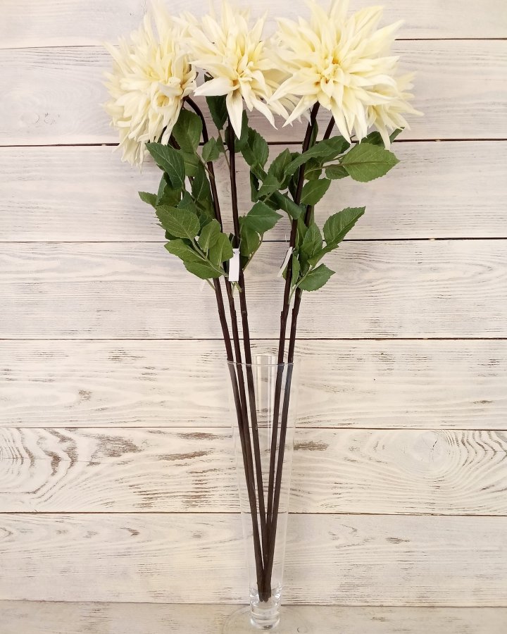 Хризантема "Кастелли" для интерьера