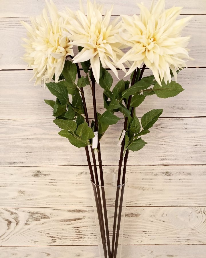 Хризантема "Кастелли" для интерьера