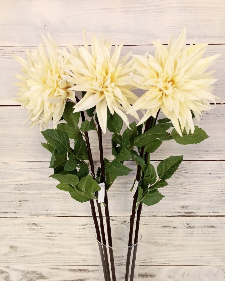 Хризантема "Кастелли" для интерьера