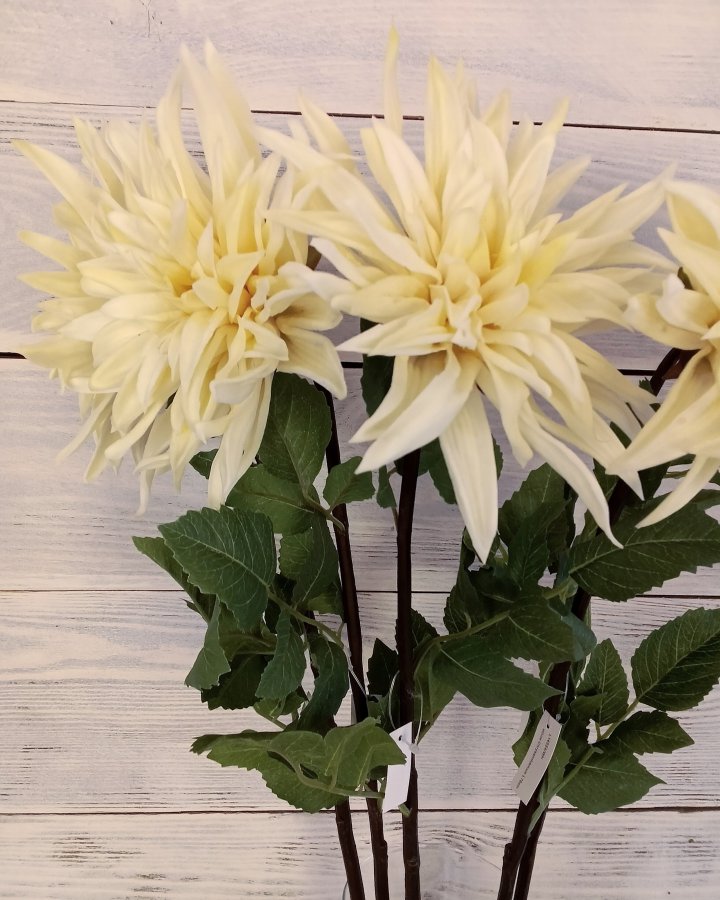 Хризантема "Кастелли" для интерьера