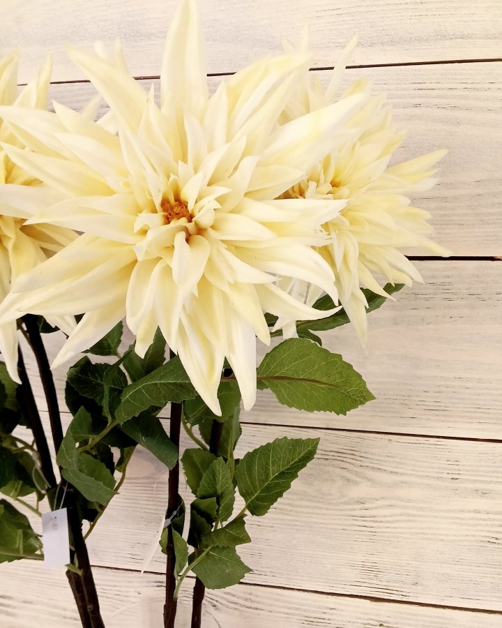 Хризантема "Кастелли" для интерьера