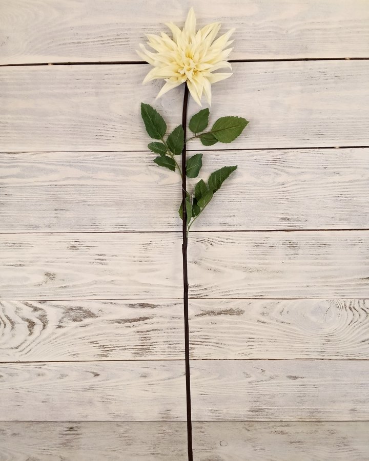 Хризантема "Кастелли" для интерьера