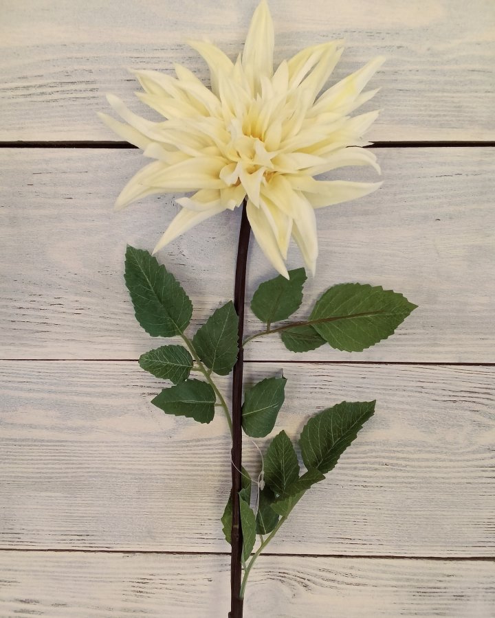 Хризантема "Кастелли" для интерьера