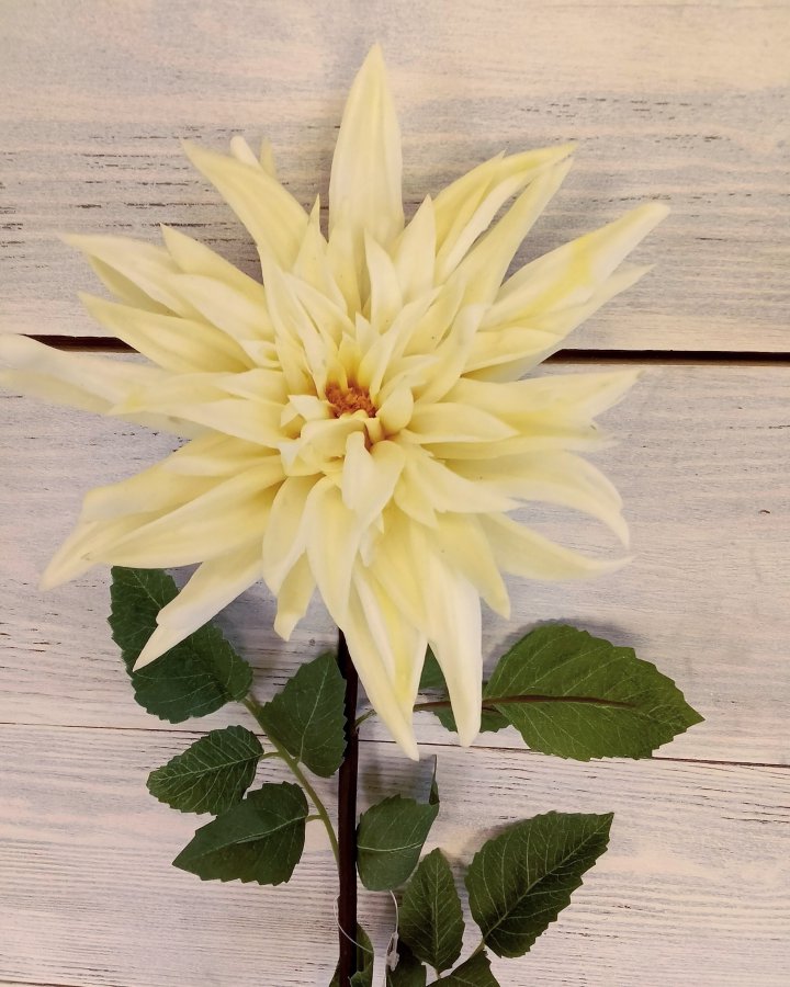 Хризантема "Кастелли" для интерьера