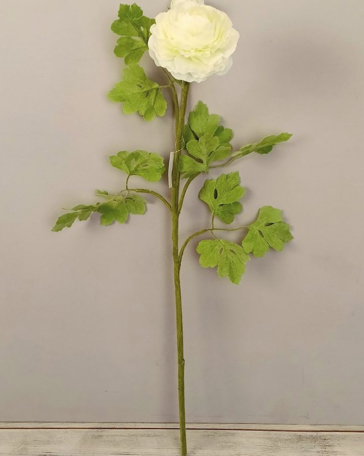 Лютик персидский (ранункулюс) для декора интерьера