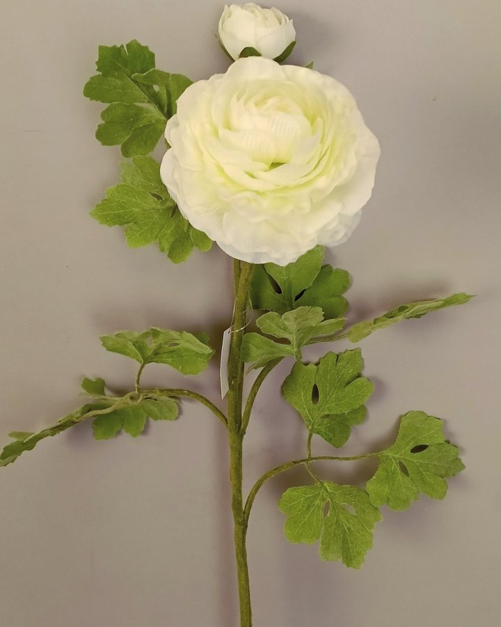 Лютик персидский (ранункулюс) для декора интерьера