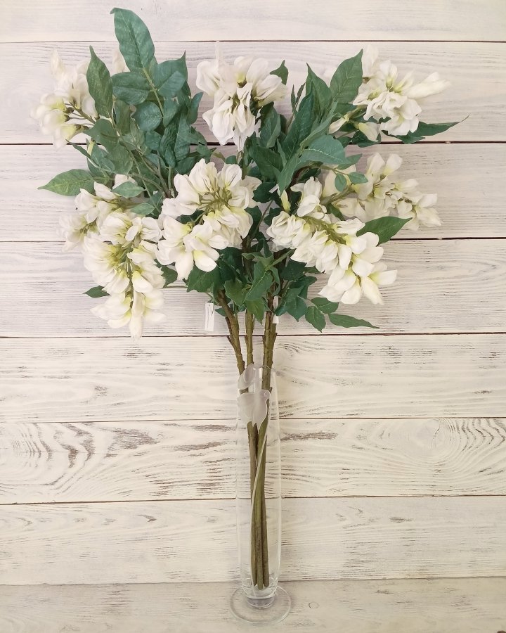 Акация для декора интерьера