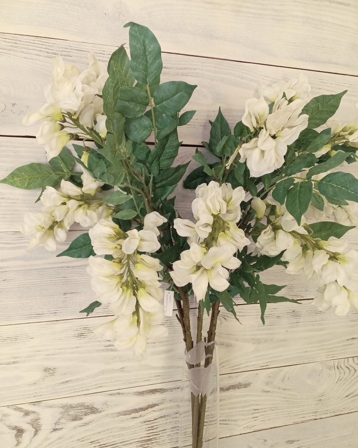 Акация для декора интерьера