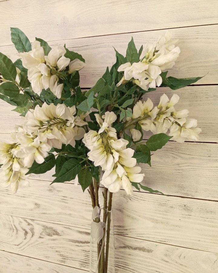 Акация для декора интерьера