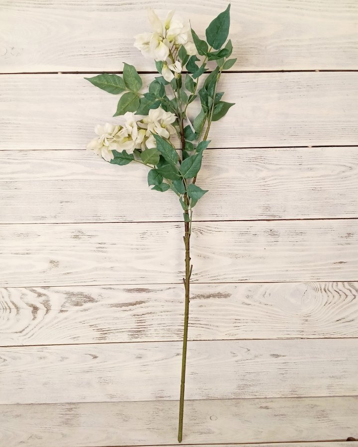 Акация для декора интерьера