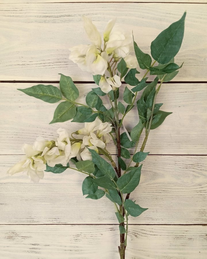 Акация для декора интерьера