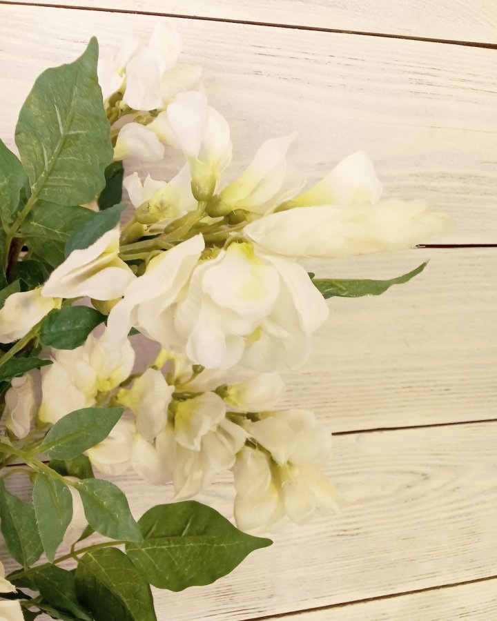 Акация для декора интерьера