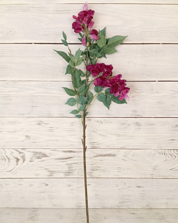 Акация для декора интерьера