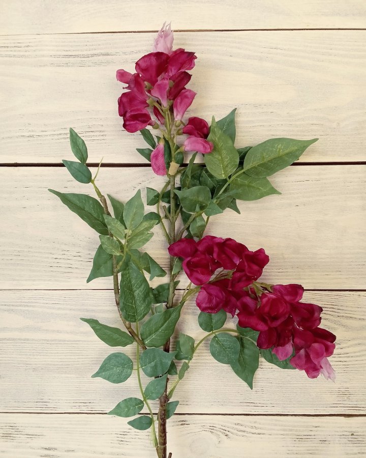 Акация для декора интерьера