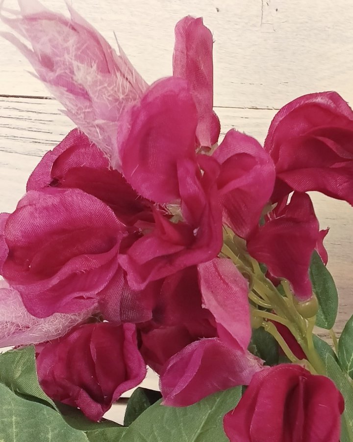 Акация для декора интерьера