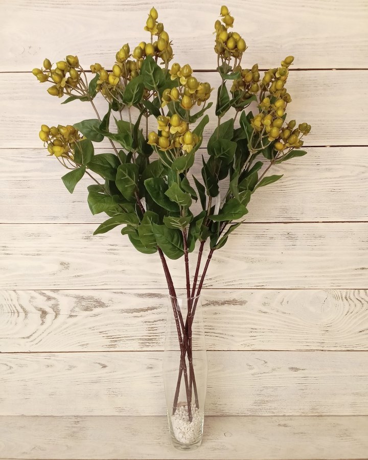 Гиперикум (ягоды зверобоя) для декора интерьера