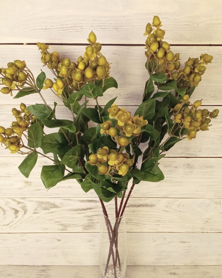 Гиперикум (ягоды зверобоя) для декора интерьера