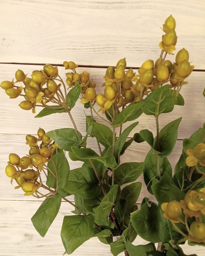 Гиперикум (ягоды зверобоя) для декора интерьера