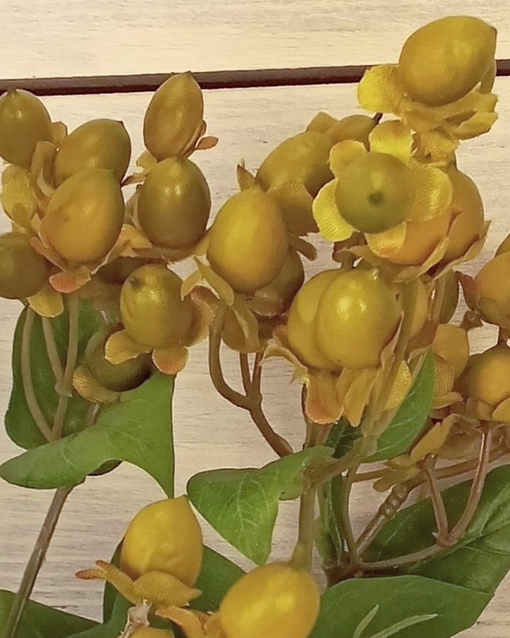 Гиперикум (ягоды зверобоя) для декора интерьера