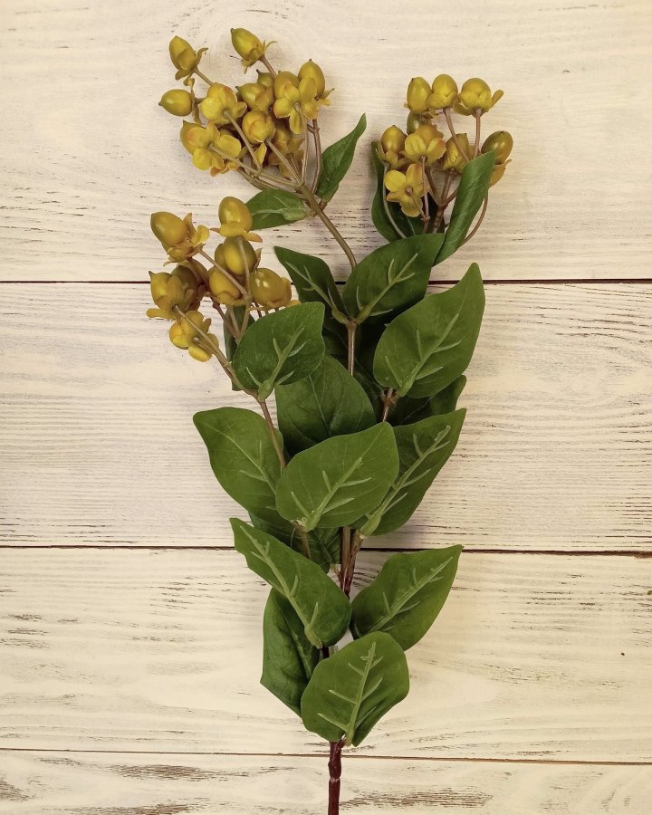 Гиперикум (ягоды зверобоя) для декора интерьера