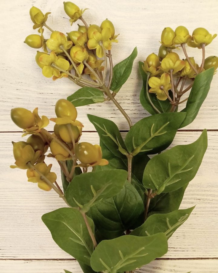 Гиперикум (ягоды зверобоя) для декора интерьера