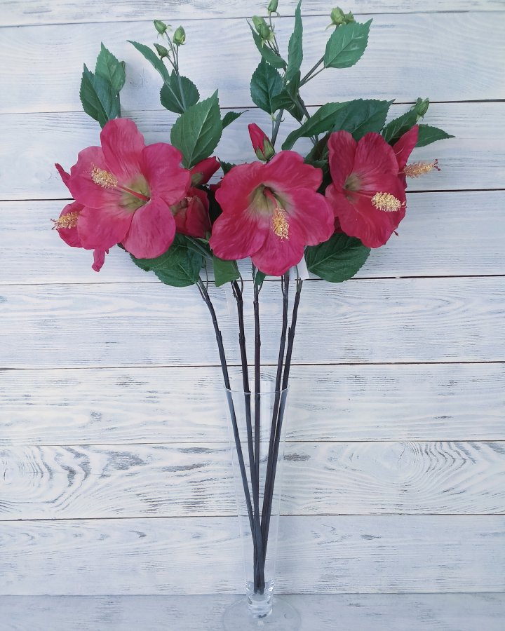 Гибискус (суданская роза) для декора интерьера