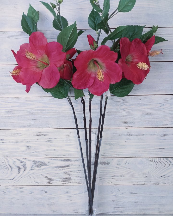 Гибискус (суданская роза) для декора интерьера