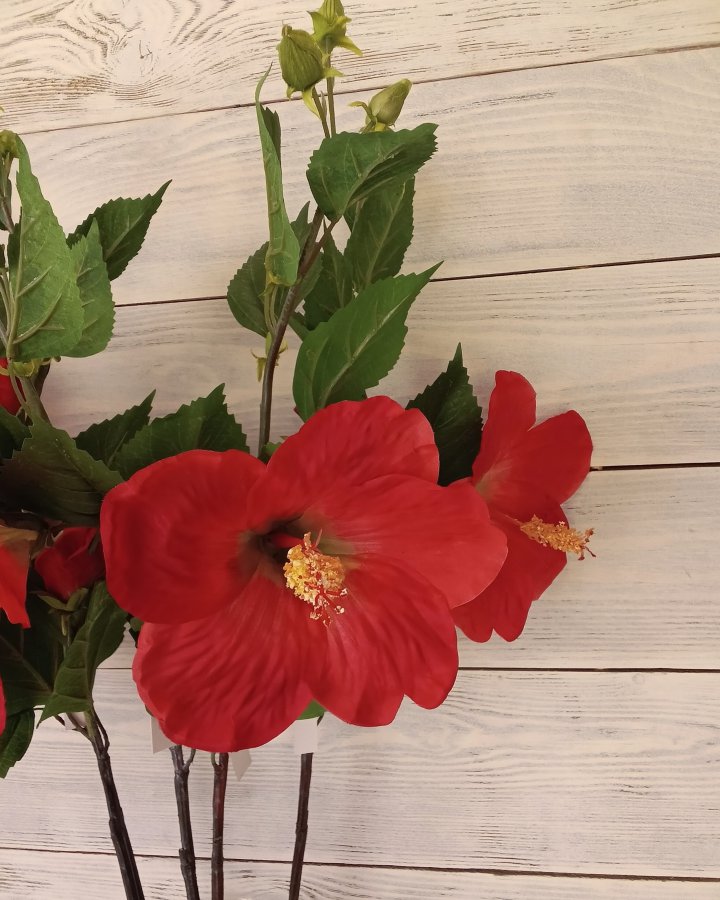 Гибискус (суданская роза) для декора 