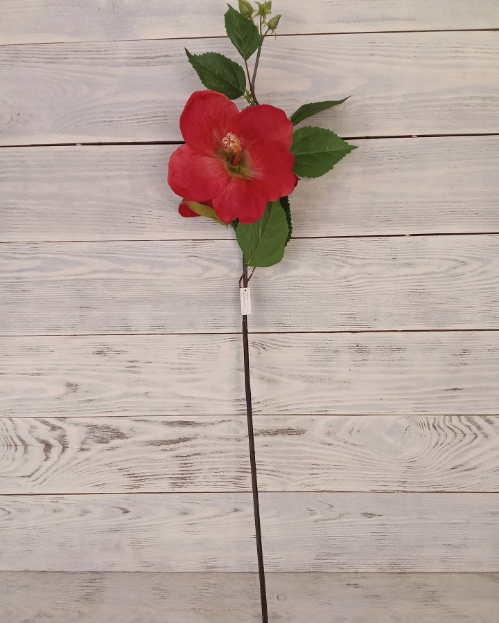 Гибискус (суданская роза) для декора 