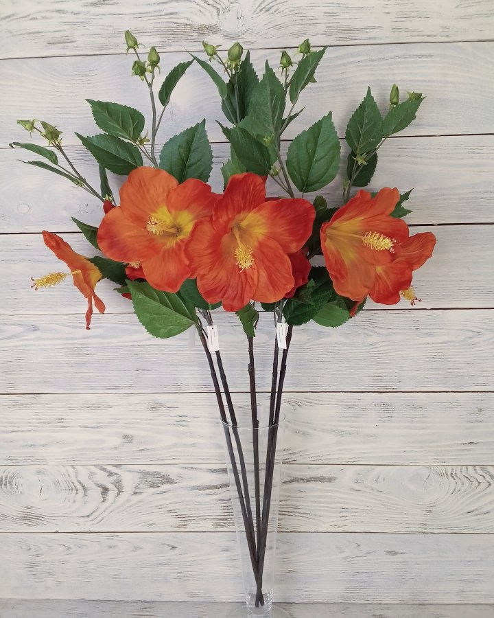 Гибискус (суданская роза) для интерьерного декора