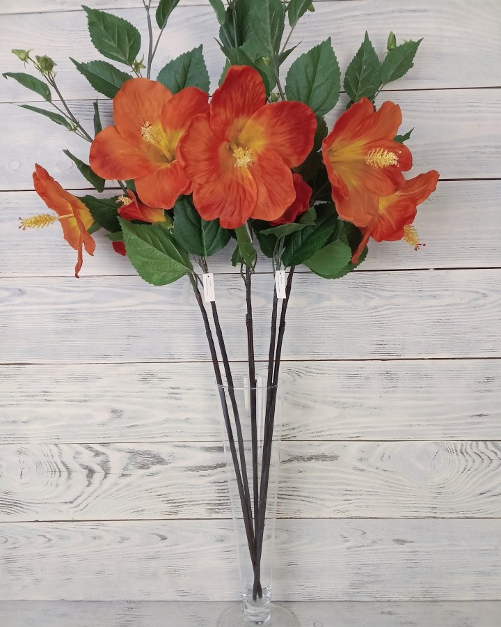 Гибискус (суданская роза) для интерьерного декора