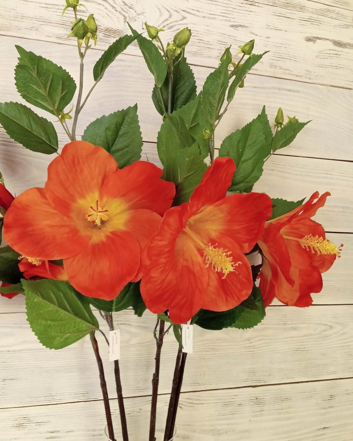 Гибискус (суданская роза) для интерьерного декора