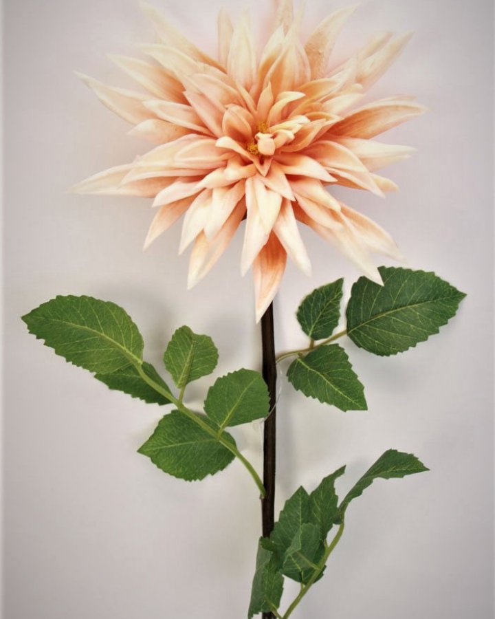 Хризантема "Кастелли" для декора интерьера