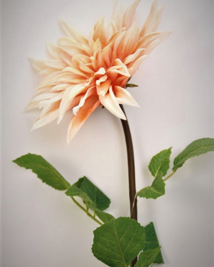 Хризантема "Кастелли" для декора интерьера