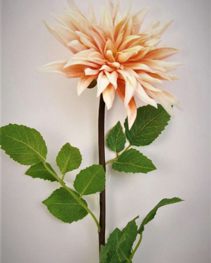 Хризантема "Кастелли" для декора интерьера