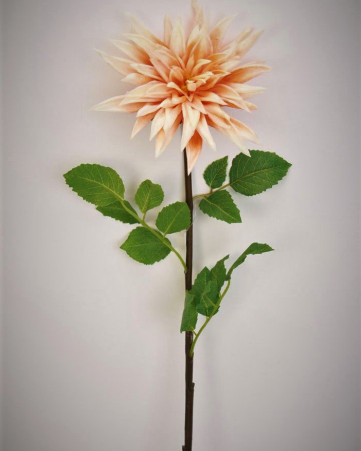 Хризантема "Кастелли" для декора интерьера