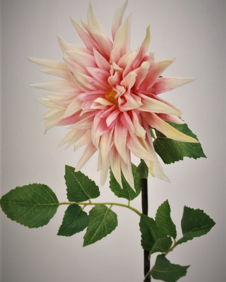 Хризантема "Кастелли" для интерьерного декора