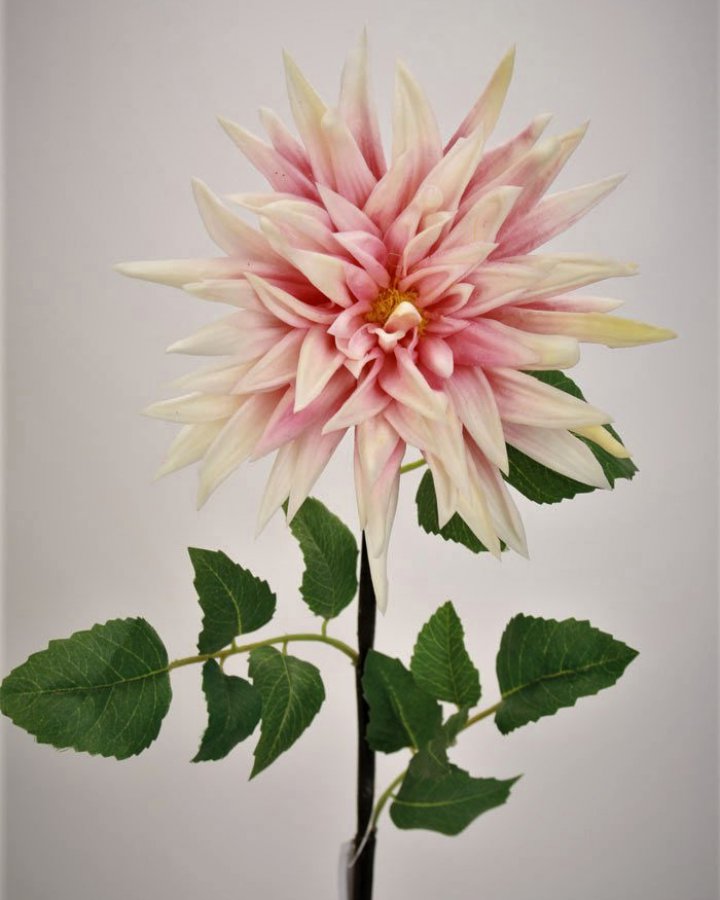 Хризантема "Кастелли" для интерьерного декора