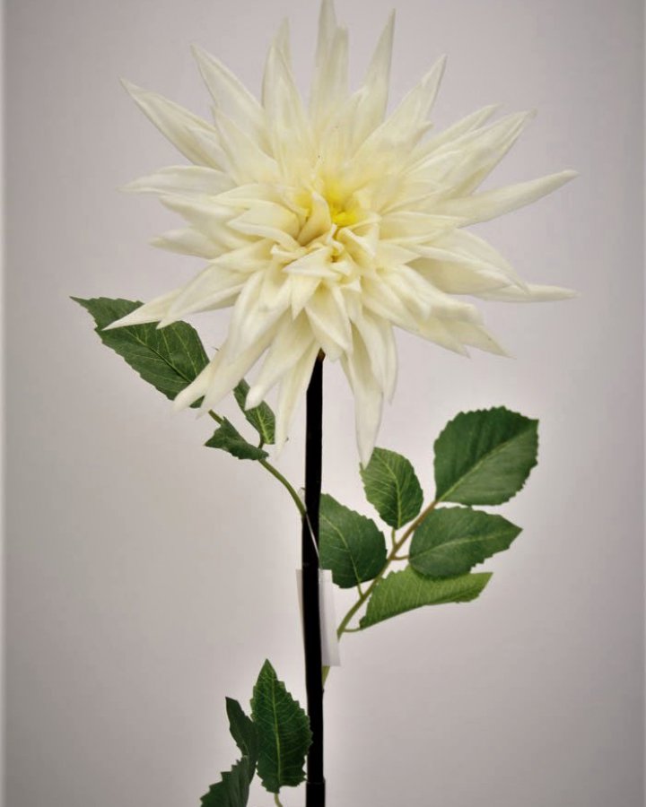 Хризантема "Кастелли" для интерьера