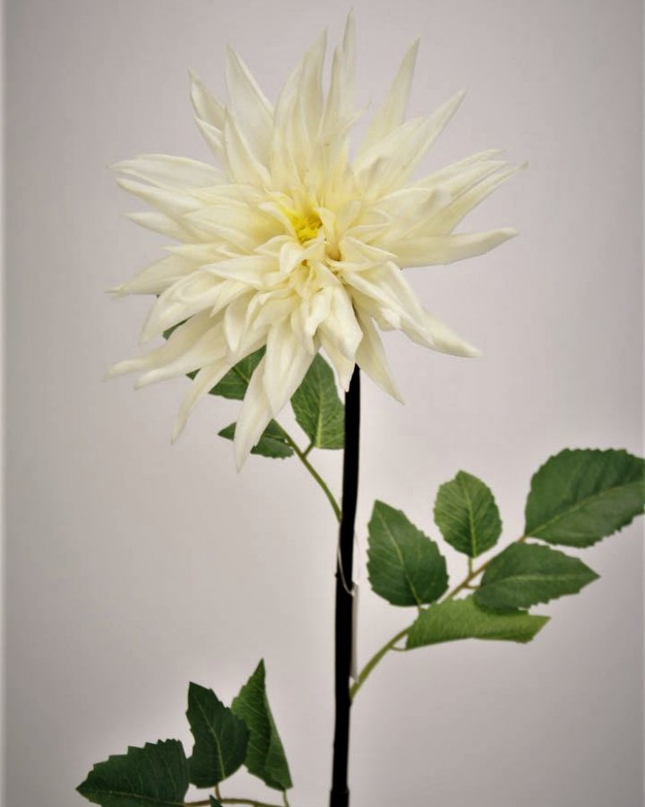 Хризантема "Кастелли" для интерьера