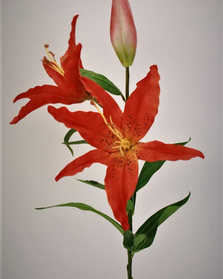 Лилии "Ориентал Дженоа" для интерьера